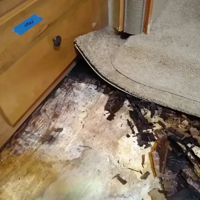 Best Wood Floor Water Damage Service in Rice County, MN